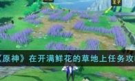 《原神》攻略——在开满鲜花的草地上任务攻略