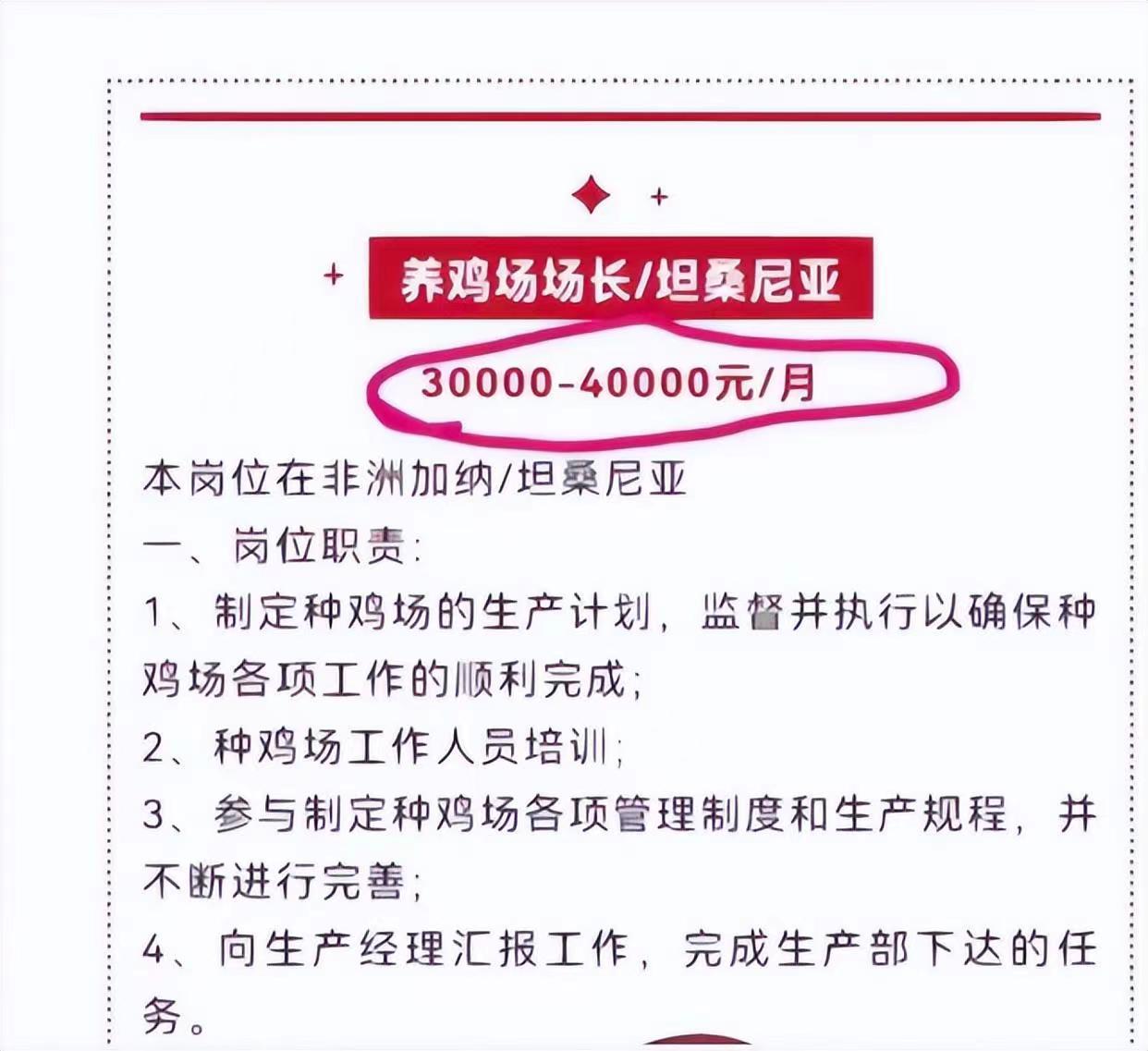 在非洲养鸡月薪有4万？！网友：好心动