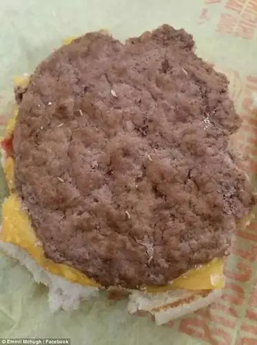 吐了！网友买肉饼一口下去全是蛆！