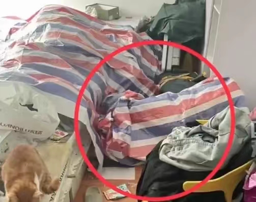 "大开眼界"！女子兼职疑似遇到恋踩癖骚扰