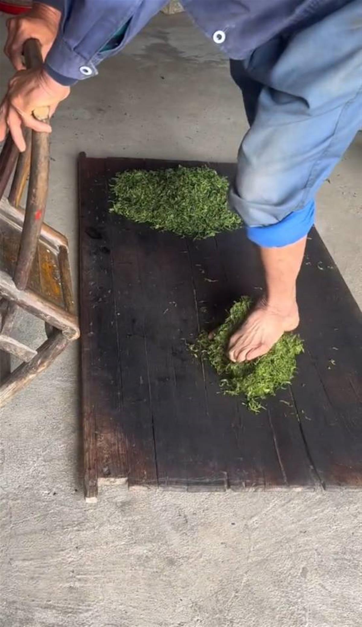 赤脚踩茶叶竟然是传统工艺？