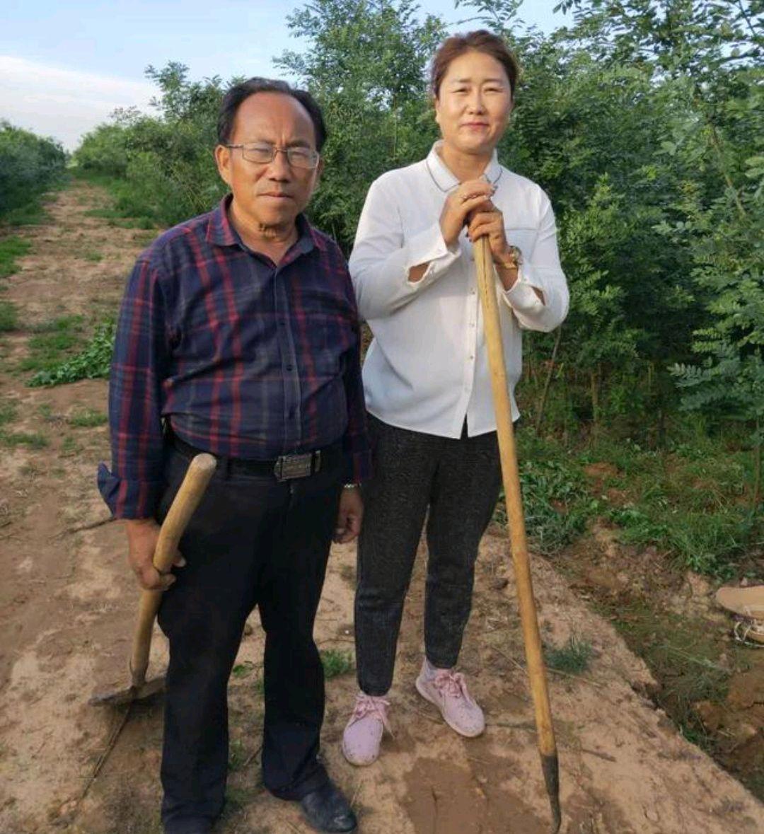 造福人类！孙国友承包万亩沙地20年栽种600多亩