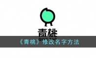 《青桃》攻略——修改名字方法