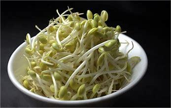 10 岁男孩花 9 天种绿豆芽，为妈妈庆生