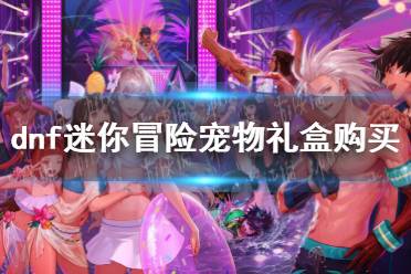 《地下城与勇士》攻略——迷你冒险家宠物自选礼盒多少钱