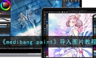 《medibang paint》攻略——导入图片教程