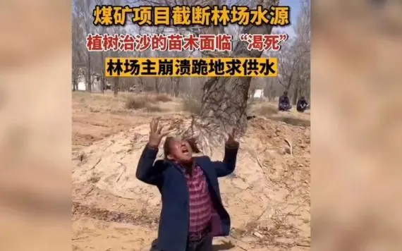 宁夏一林场主崩溃跪地求供水
