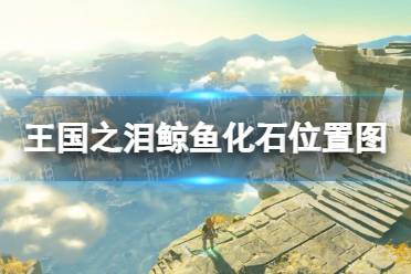 《塞尔达传说王国之泪》攻略——鲸鱼化石位置图