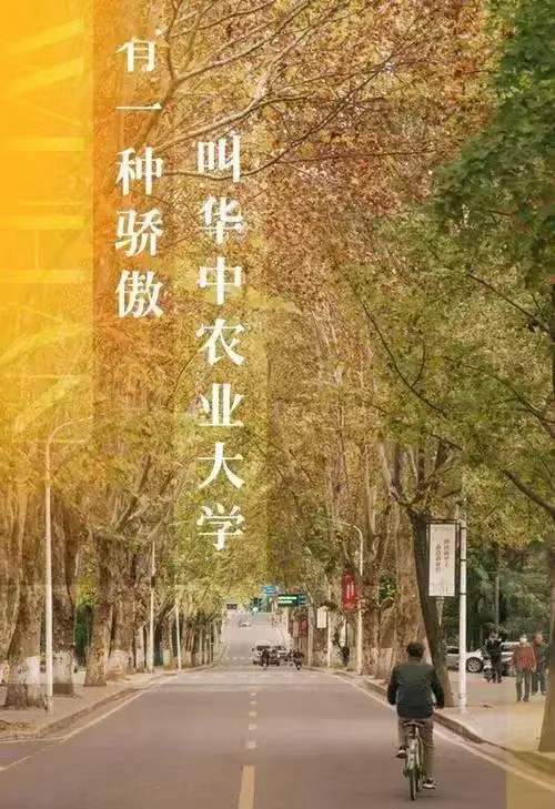 学校真贴心！华中农业大学男生体重48公斤被学校谈话